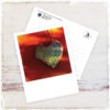 postcard cactus heart