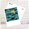 postcard Water Lily
