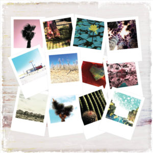 Polaroid Cards – Set of 12